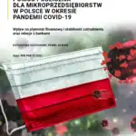Pomoc publiczna dla mikroprzedsiębiorstw w Polsce w okresie pandemii COVID-19