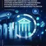 Perspektywy zdolności polskiego systemu bankowego do finansowania potrzeb gospodarki w warunkach ograniczonych zasobów kapitałowych